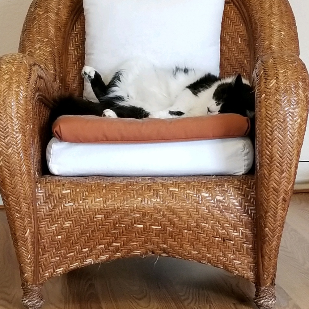 Meet your Posher, Steph